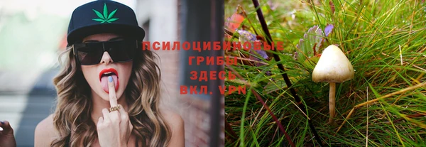 синтетический гашиш Новокубанск