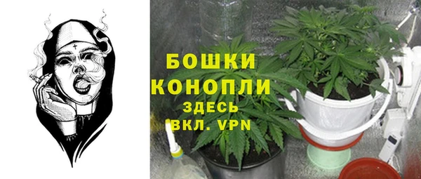 мдма Новозыбков