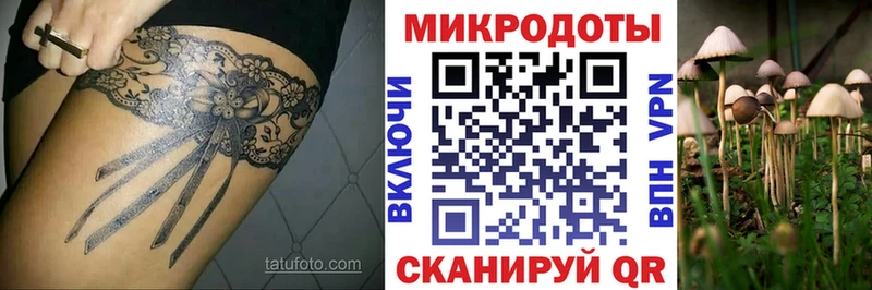 Галлюциногенные грибы прущие грибы  Купить закладки  Липецк 